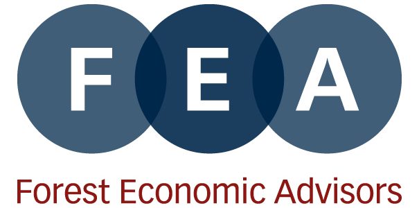 logo_def FEA_RGB
